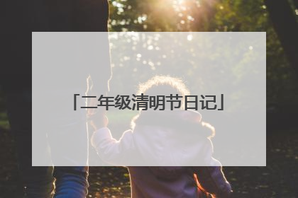 二年级清明节日记