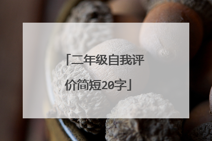 二年级自我评价简短20字