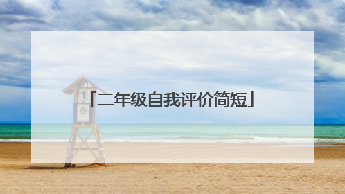 二年级自我评价简短