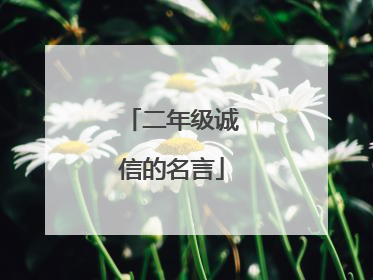 二年级诚信的名言