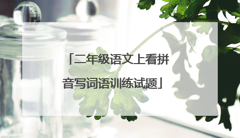 二年级语文上看拼音写词语训练试题
