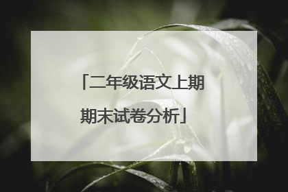 二年级语文上期期末试卷分析