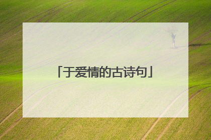 于爱情的古诗句