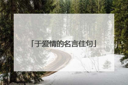 于爱情的名言佳句