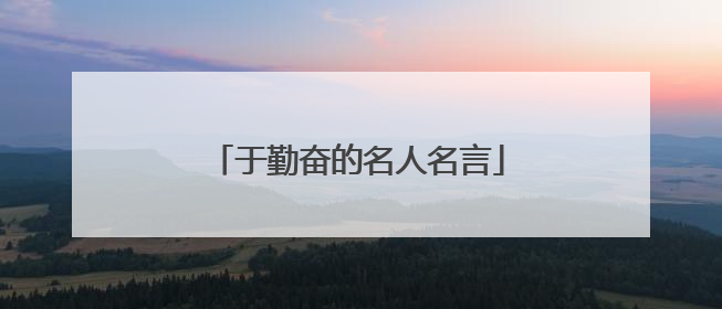 于勤奋的名人名言