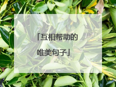 互相帮助的唯美句子