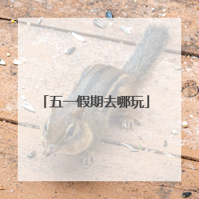 五一假期去哪玩