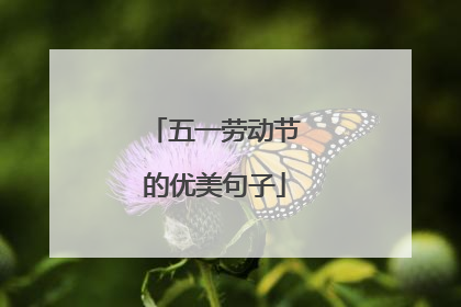 五一劳动节的优美句子
