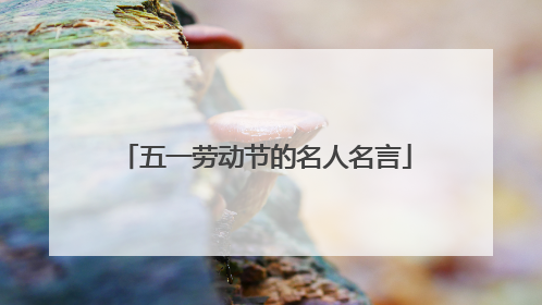 五一劳动节的名人名言