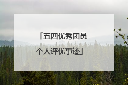 五四优秀团员个人评优事迹