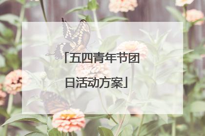 五四青年节团日活动方案