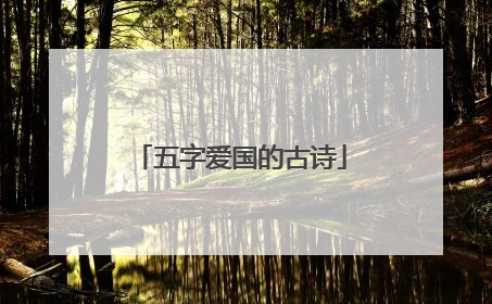 五字爱国的古诗