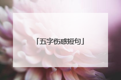 五字伤感短句