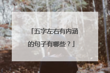 五字左右有内涵的句子有哪些？