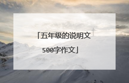 五年级的说明文500字作文