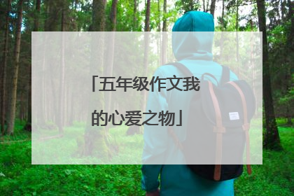 五年级作文我的心爱之物