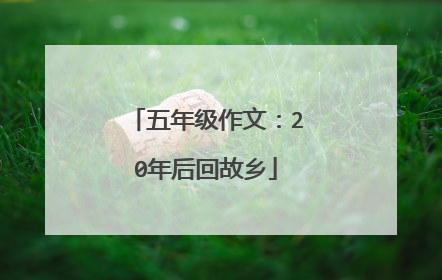 五年级作文：20年后回故乡