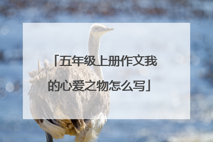 五年级上册作文我的心爱之物怎么写