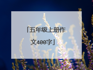 五年级上册作文400字