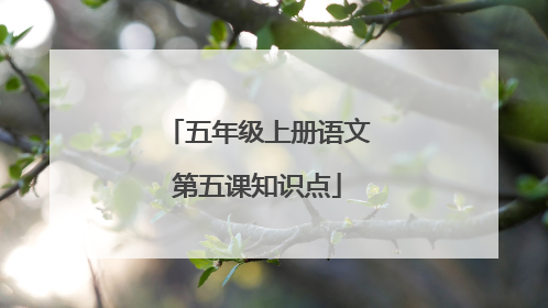五年级上册语文第五课知识点