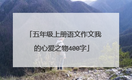 五年级上册语文作文我的心爱之物400字