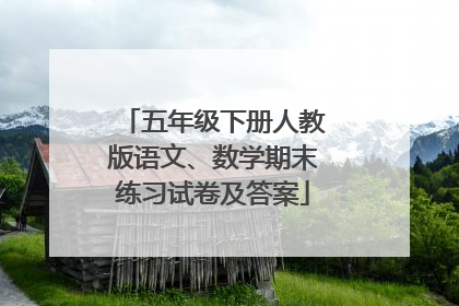 五年级下册人教版语文、数学期末练习试卷及答案
