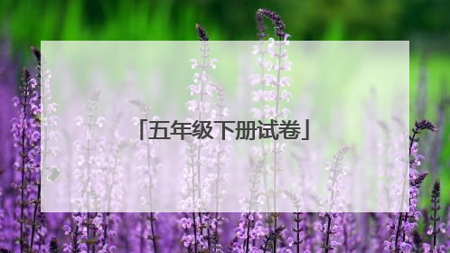 五年级下册试卷