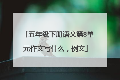五年级下册语文第8单元作文写什么,例文