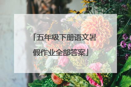 五年级下册语文暑假作业全部答案