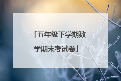 五年级下学期数学期末考试卷
