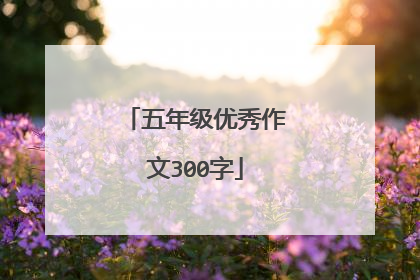 五年级优秀作文300字