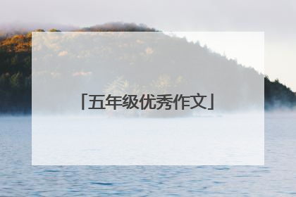 五年级优秀作文