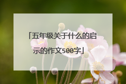 五年级关于什么的启示的作文500字