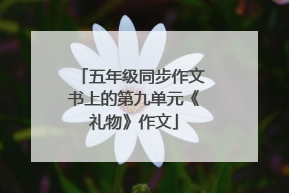 五年级同步作文书上的第九单元《礼物》作文