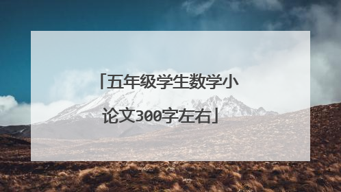 五年级学生数学小论文300字左右