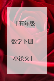 五年级数学下册小论文