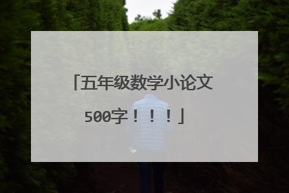 五年级数学小论文500字！！！