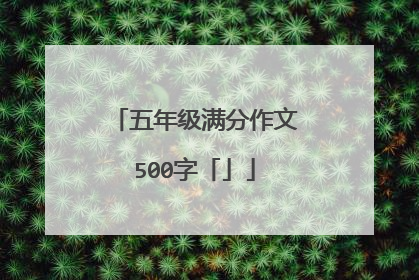 五年级满分作文500字「」