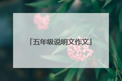五年级说明文作文