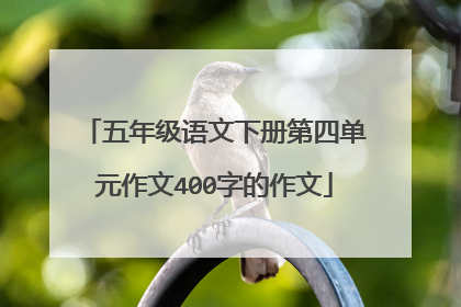 五年级语文下册第四单元作文400字的作文