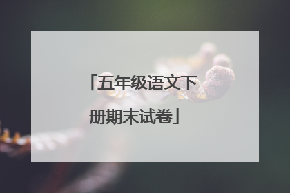 五年级语文下册期末试卷