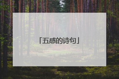 五感的诗句