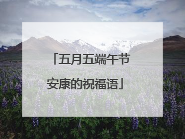 五月五端午节安康的祝福语