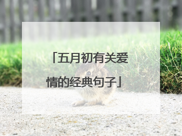 五月初有关爱情的经典句子