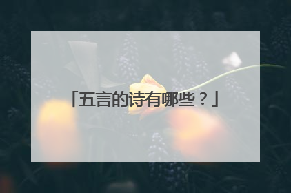 五言的诗有哪些?