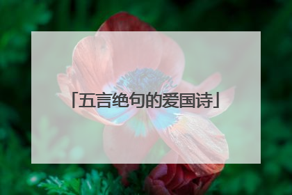 五言绝句的爱国诗