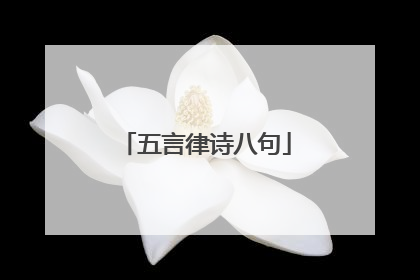 五言律诗八句