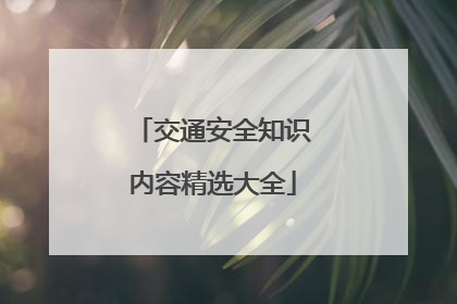 交通安全知识内容精选大全