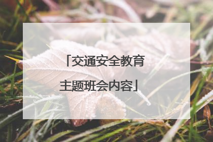 交通安全教育主题班会内容