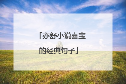 亦舒小说喜宝的经典句子